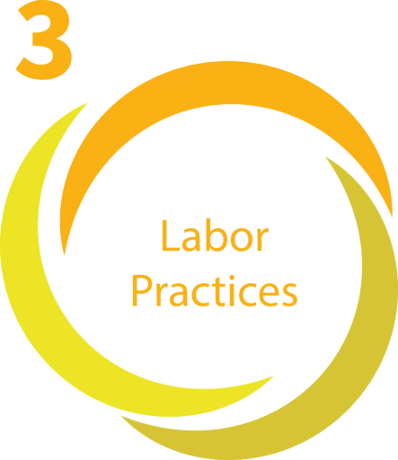3 – Labor Practices