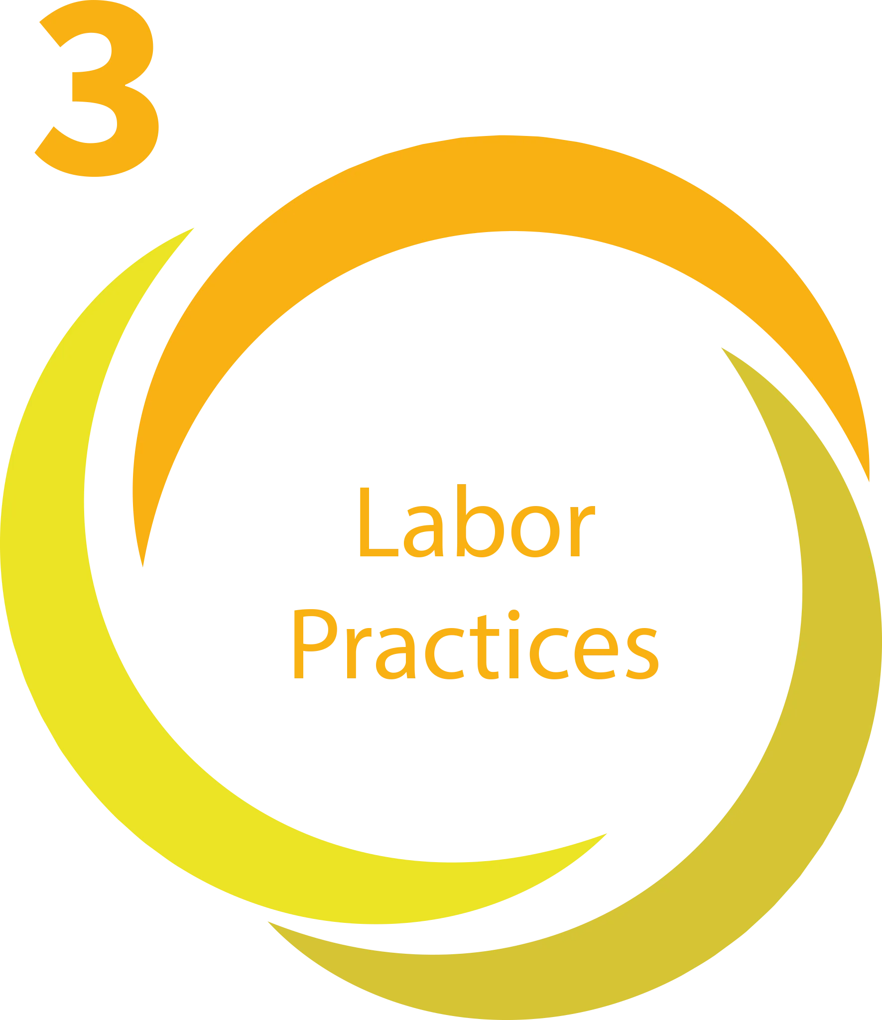 3 – Labor Practices
