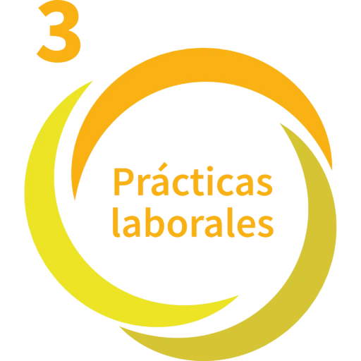 convention-03-practicas-laborales
